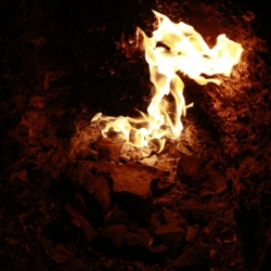 chimaera (1)