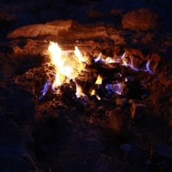 chimaera (2)