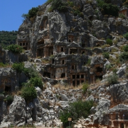 myra (3)