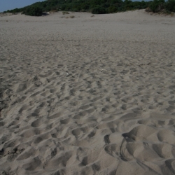patara (2)