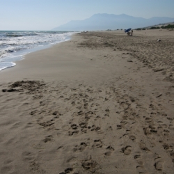 patara (3)