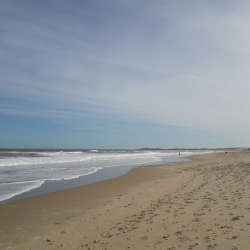 img-20161120-wa0010