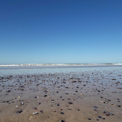img-20161120-wa0017