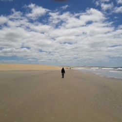 img-20161123-wa0026