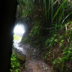 DMZ (11)