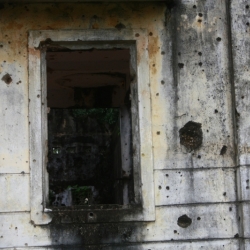 DMZ (17)