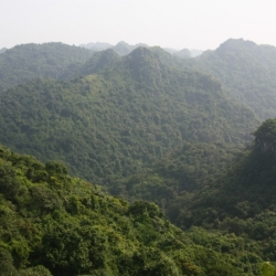 Ha Long Bay (18)