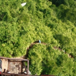 Ha Long Bay (19)