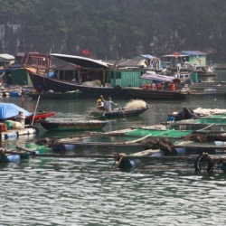 Ha Long Bay (21)