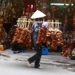 Hanoi (8)