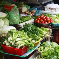 Ho Chi Minh City (8)
