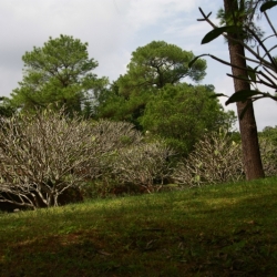 Hue (4)