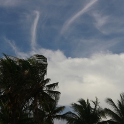 mui ne (2)