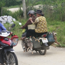 nah trang (10)