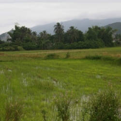 nah trang (11)