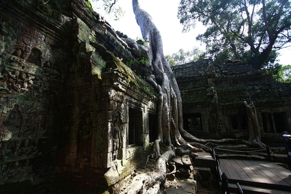 Siem Reap, Day 1